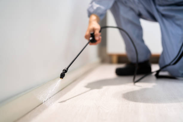 Licensed Termite Control service in Wood County County, OH - Nex Pest Control