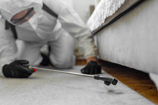 Professional Termite Control technician working in Wood County County, OH